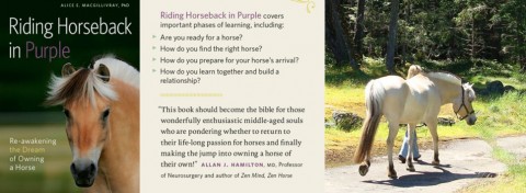 Riding Horseback in Purple